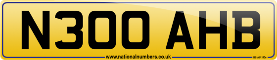 N300 AHB