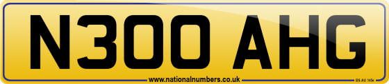 N300 AHG