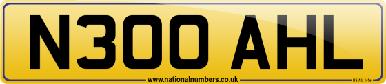 N300 AHL