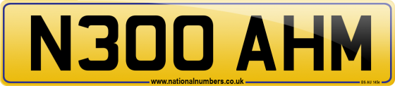 N300 AHM