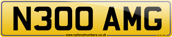 N300 AMG