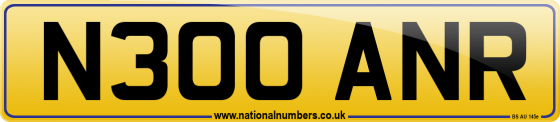 N300 ANR