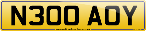 N300 AOY