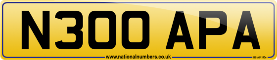 N300 APA