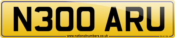 N300 ARU