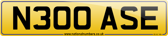 N300 ASE