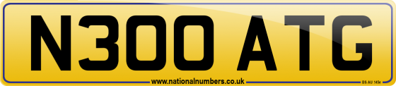 N300 ATG
