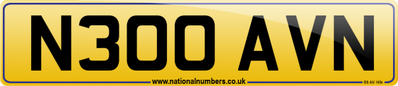 N300 AVN