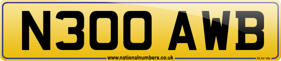 N300 AWB