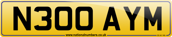N300 AYM