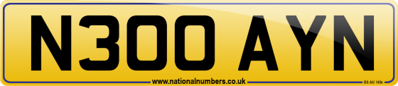 N300 AYN