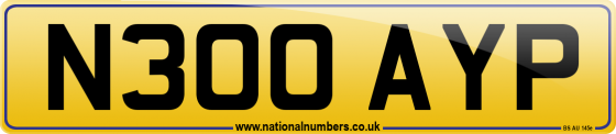 N300 AYP