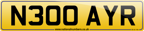 N300 AYR