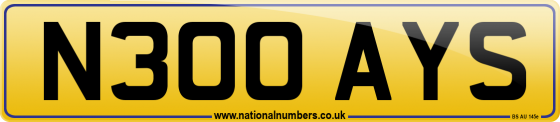 N300 AYS