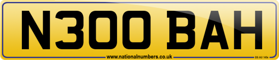 N300 BAH