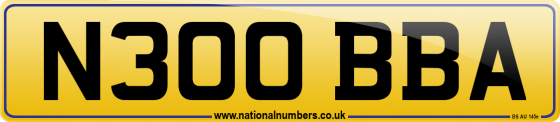 N300 BBA