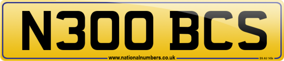 N300 BCS