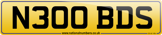 N300 BDS