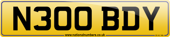 N300 BDY