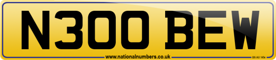 N300 BEW