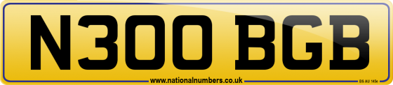 N300 BGB