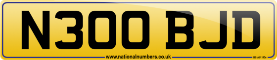 N300 BJD