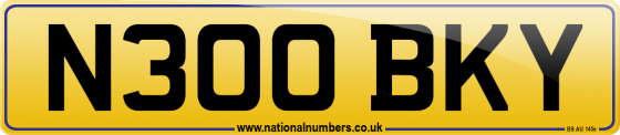 N300 BKY