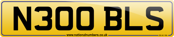 N300 BLS