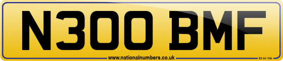 N300 BMF