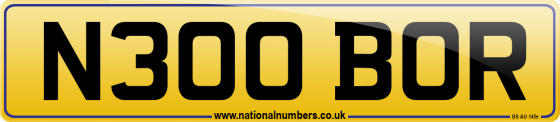 N300 BOR