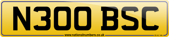 N300 BSC