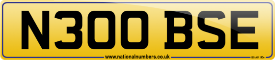N300 BSE