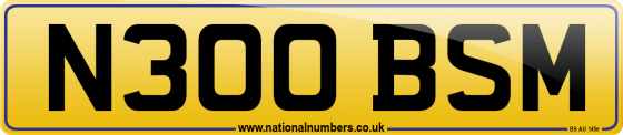 N300 BSM