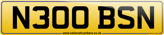 N300 BSN