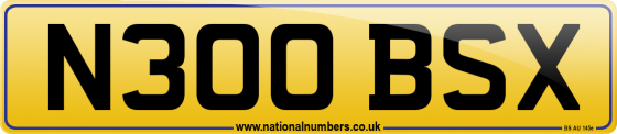 N300 BSX