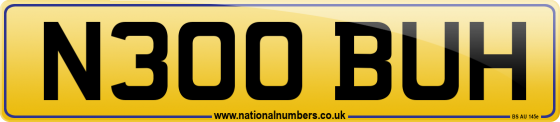 N300 BUH