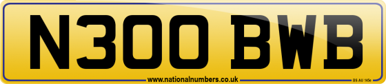 N300 BWB