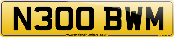 N300 BWM
