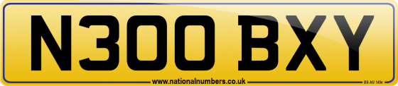 N300 BXY