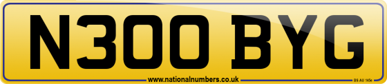 N300 BYG