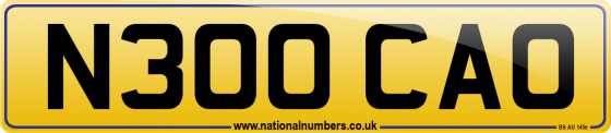 N300 CAO