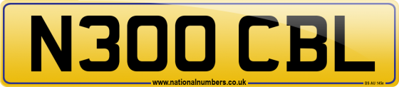N300 CBL