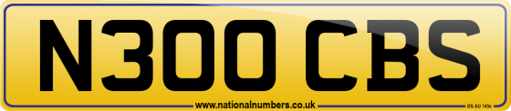 N300 CBS