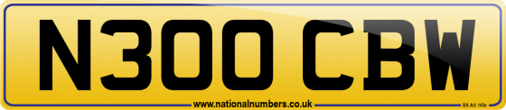 N300 CBW