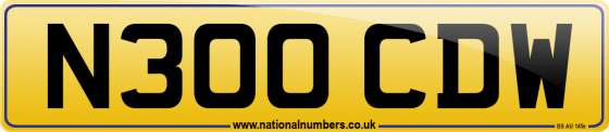 N300 CDW