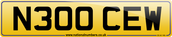 N300 CEW