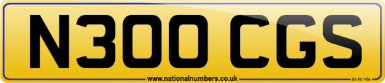 N300 CGS