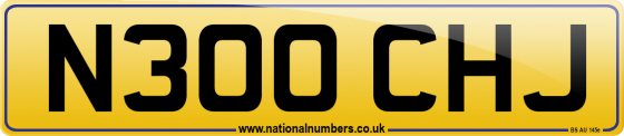 N300 CHJ