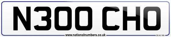 N300 CHO