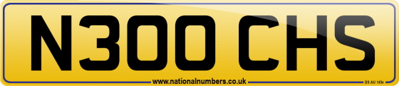 N300 CHS